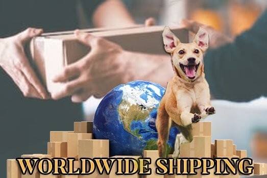 Eworld wide dog gear shipping